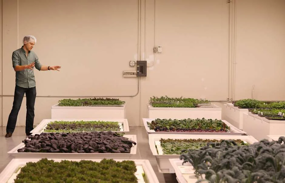 Brandon Alexander, co-founder Iron Ox, stands next to containers growing different vegetables at Iron Ox on Tuesday, October 2, 2018 in San Carlos, Calif. (Photo: Lea Suzuki, The Chronicle)
