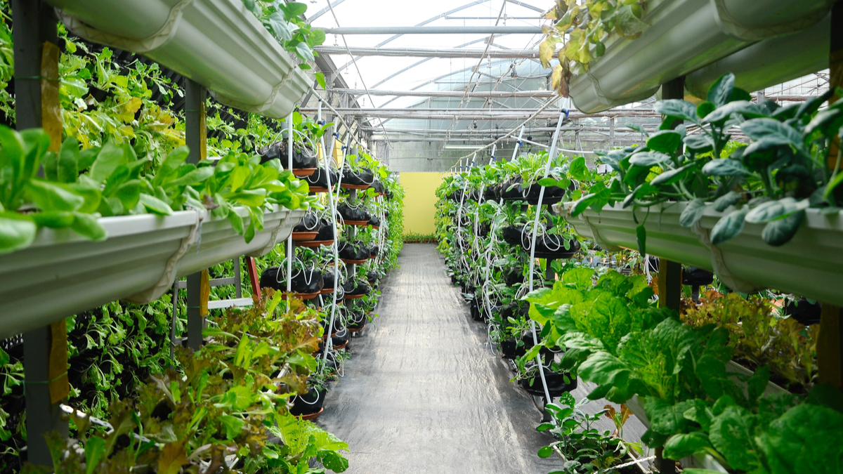 Nysgerrighed mest Bil The Future of Farming: Robots, Bees and Vertical Farms — AGRITECTURE