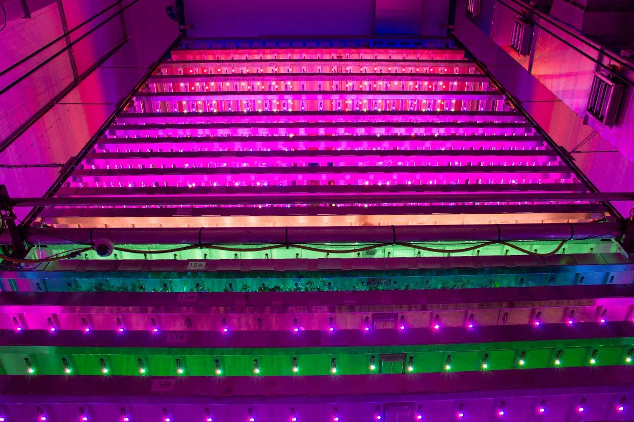 Intelligent Growth Solutions Ltd (IGS), a Scottish-based agritech business, recently unveiled its first indoor vertical farming demonstration facility in Perthshire, Scotland.