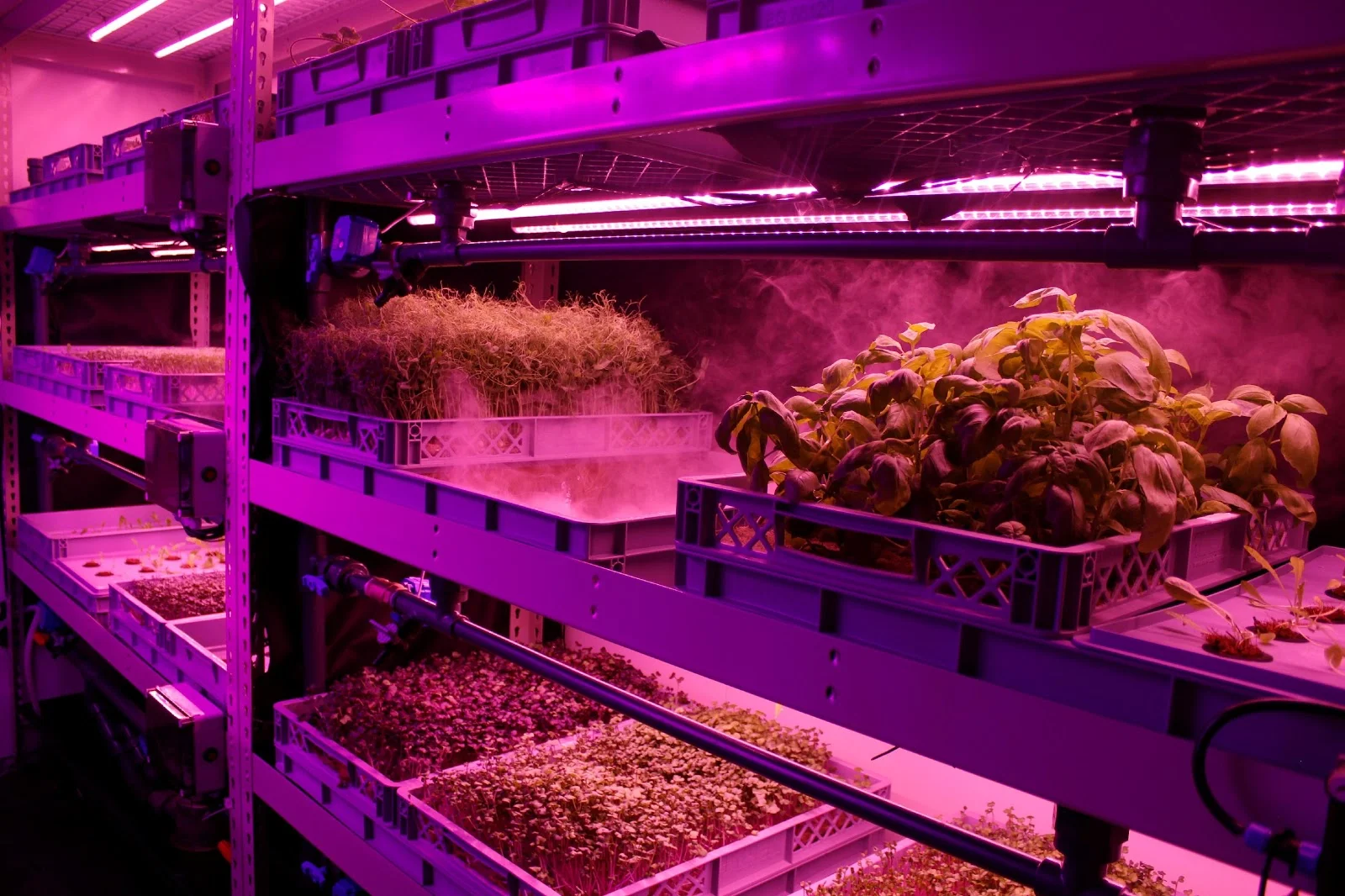 LettUs Grow is a Bristol based startup designing irrigation and control technology for indoor farms.