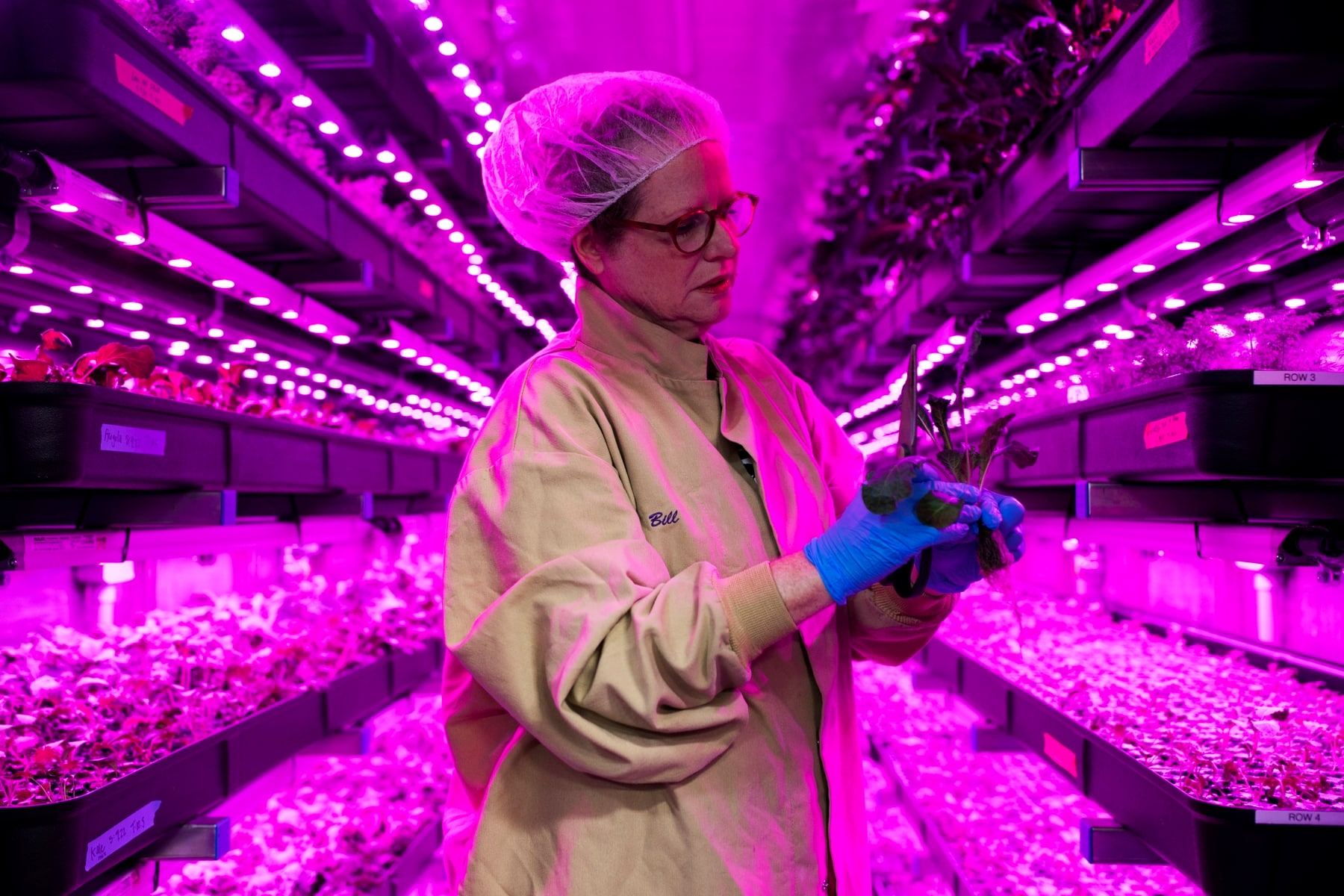 Grower Julie Flickner inspects kale at 80 Acres Farms. Growing year-round, no matter the weather outside, the vertical farm can produce 15 or more crops annually. The produce is sold in Cincinnati-area grocery stores and restaurants. (Maddie McGarvey/For The Washington Post)