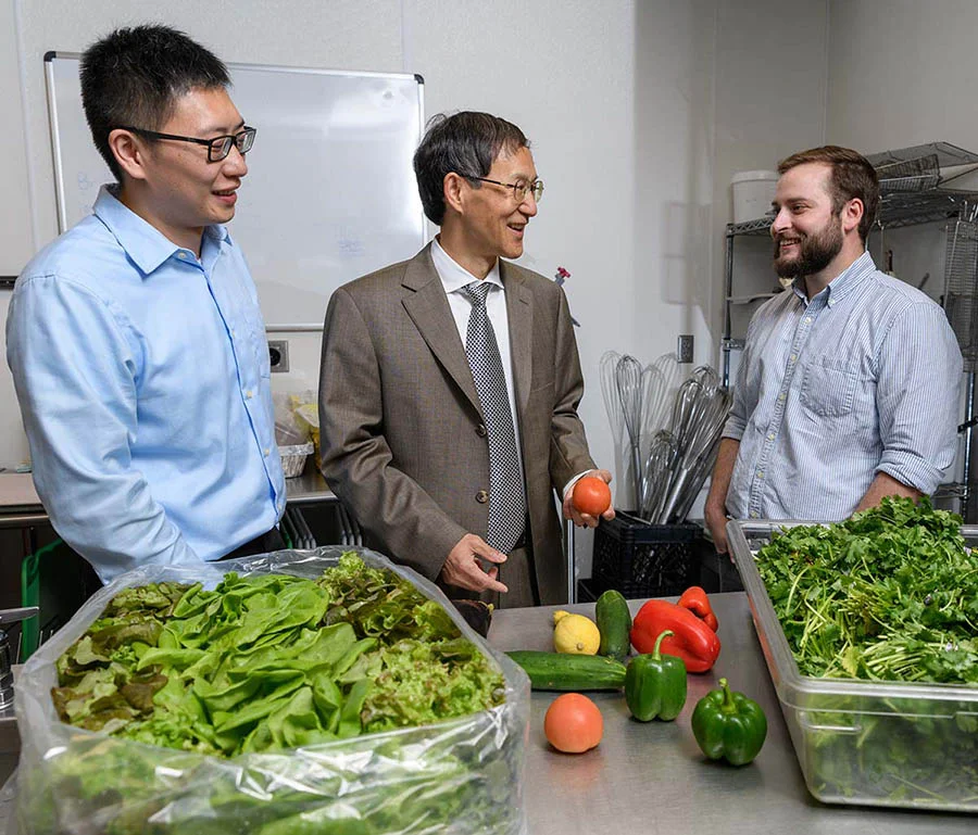 Postdoctoral fellow Bopeng Zhang, left, Professor Yongshen Chen and graduate research assistant Thomas Igou will pilot a project to use wastewater nutrients to grow lettuce, tomatoes and other fruits and vegetables. Their pilot system will use Georgia Tech's wastewater.