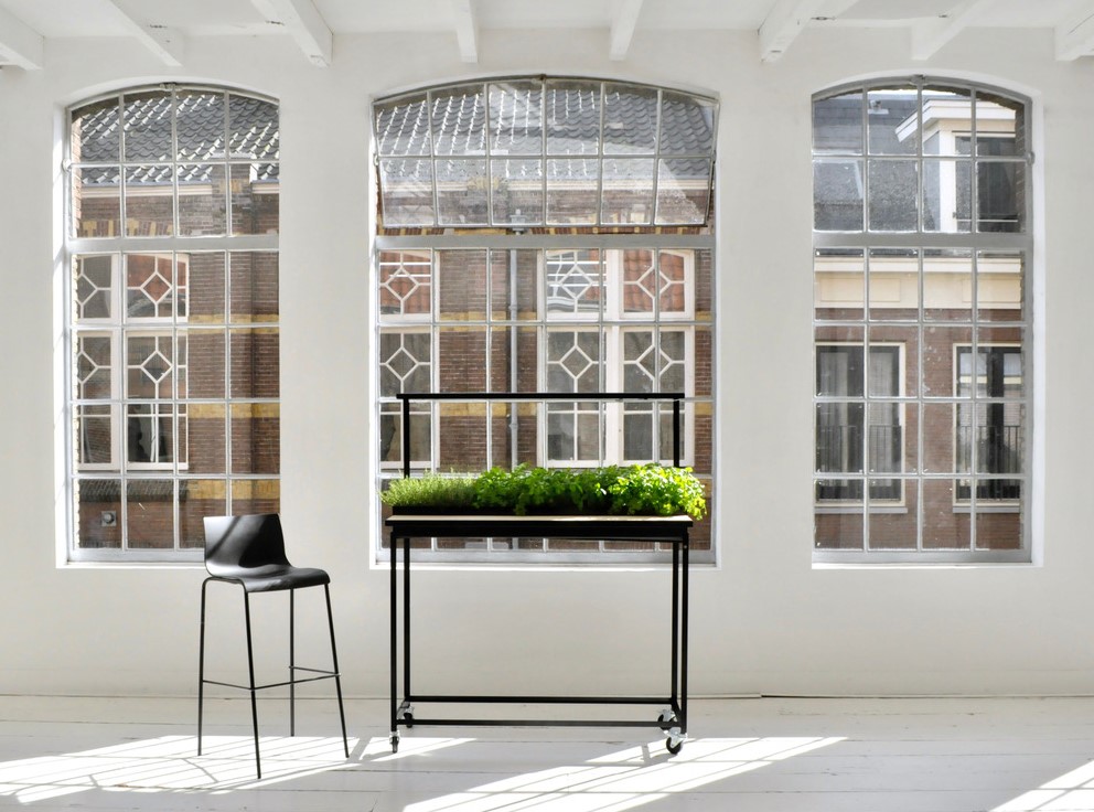 The Hrbs bar keeps crops happy with its own water basin and LED grow-light.