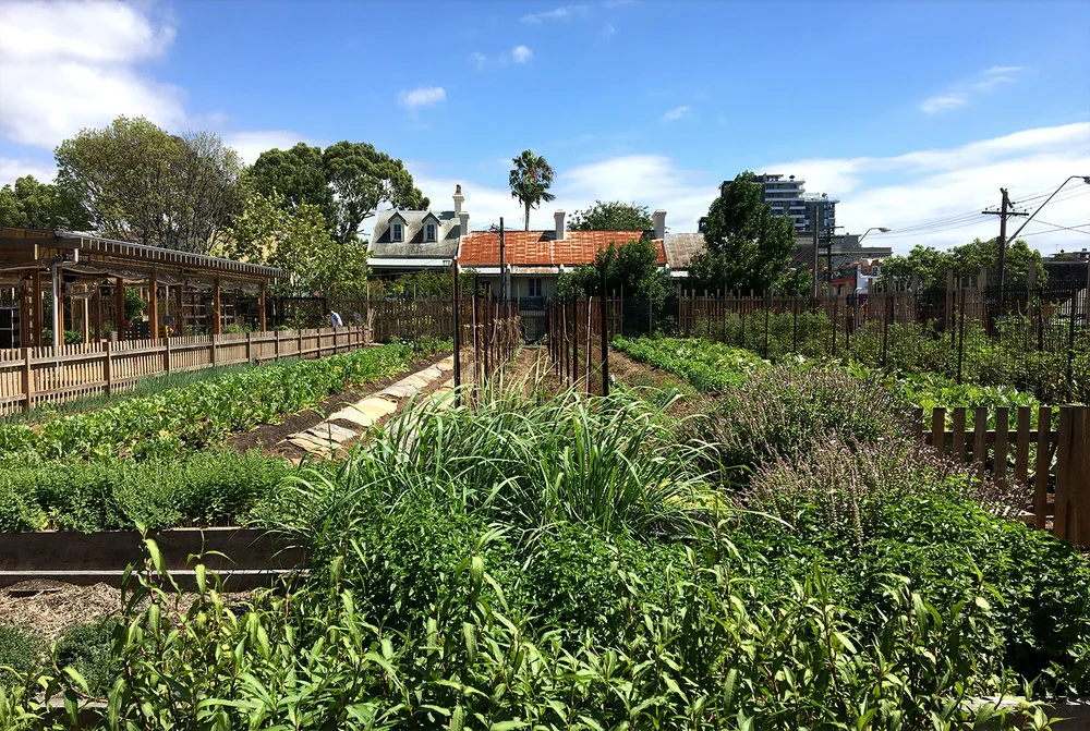 Pocket City Farms in Sydney, Australia.