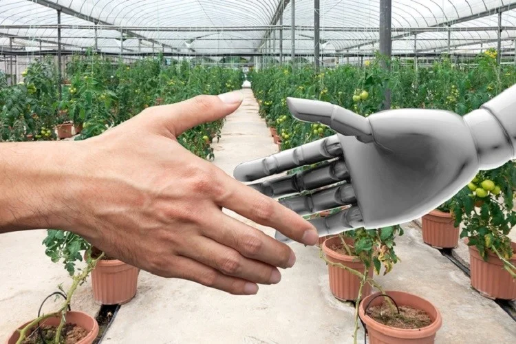 Our-world-is-entering-a-fourth-agricultural-revolution-says-UK-environment-secretary_wrbm_large.jpg