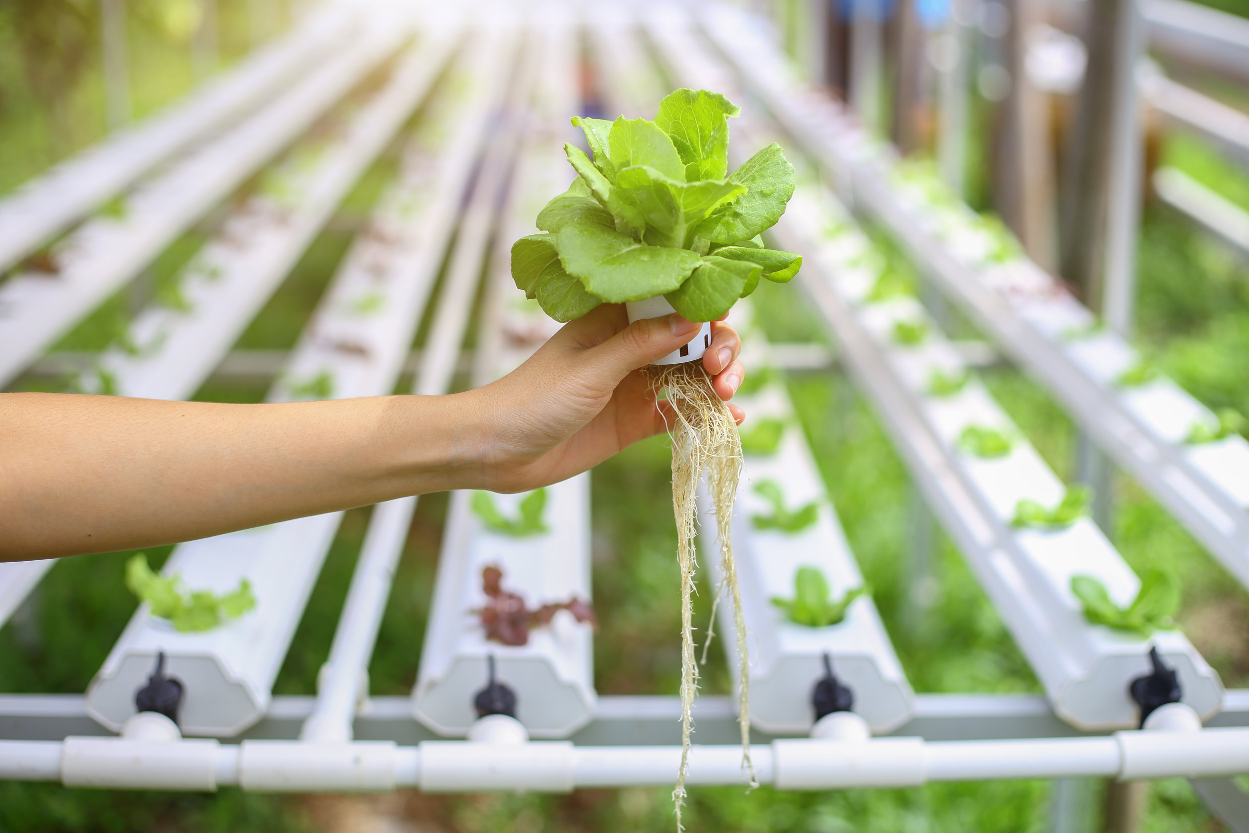 hydroponic systems