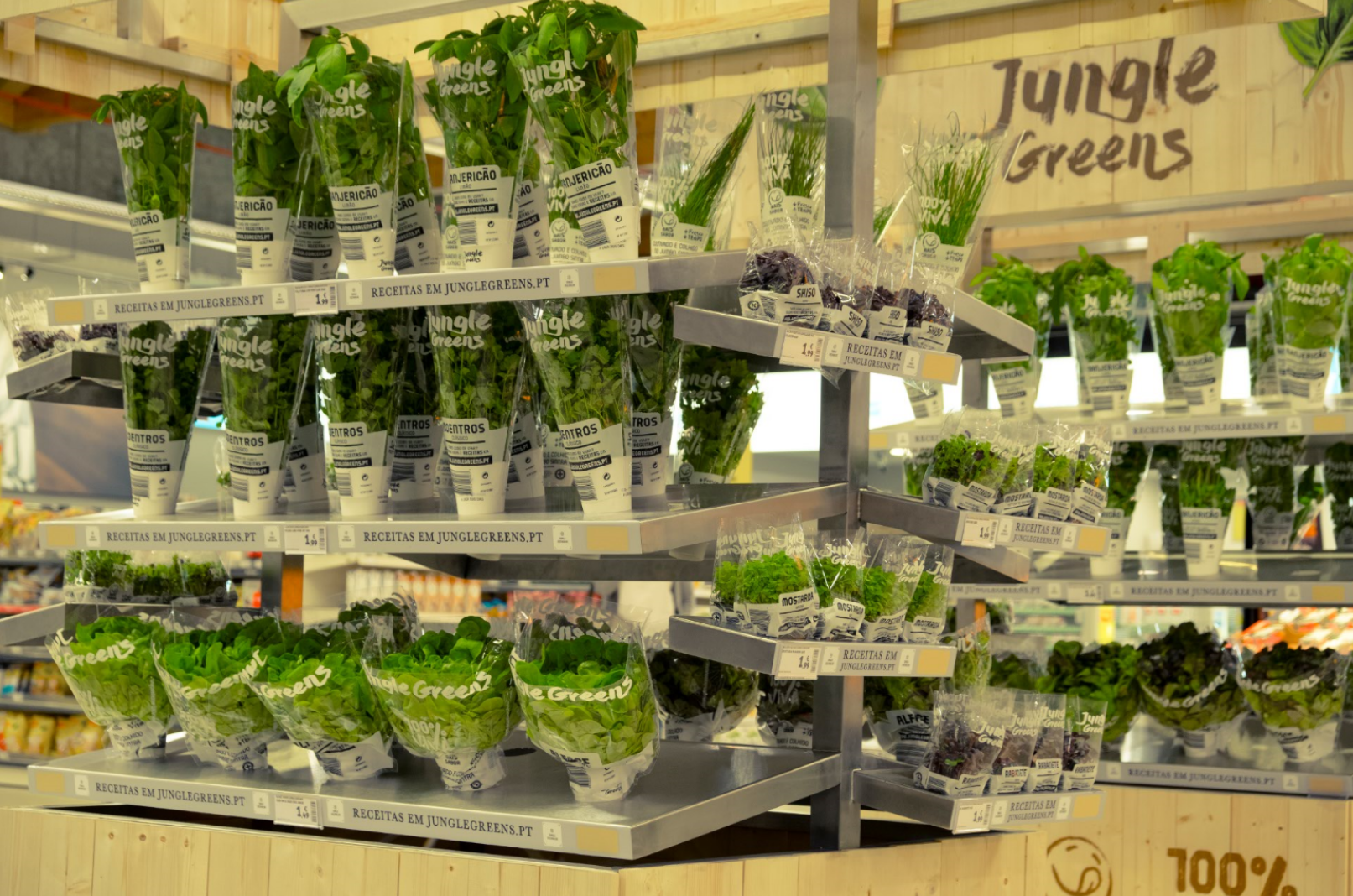 Jungle Green Live Plants 2.png