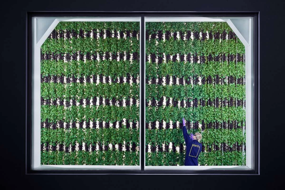 gallery_xlarge (1).jpg