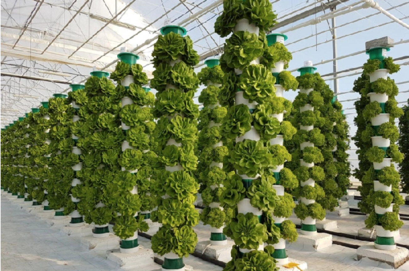 Scottish Start Up Plans To Build 40 Vertical Farms Across Uk Agritecture