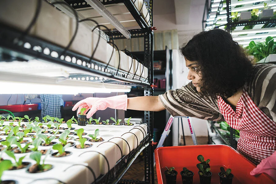 Sakina Rajkotwalla quit her job at Magic Bus to start Herbivore Farms; Image: Ronit Sarkar