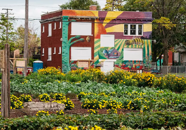 Food Supply Anxiety Brings Back Victory Gardens Amidst Covid 19