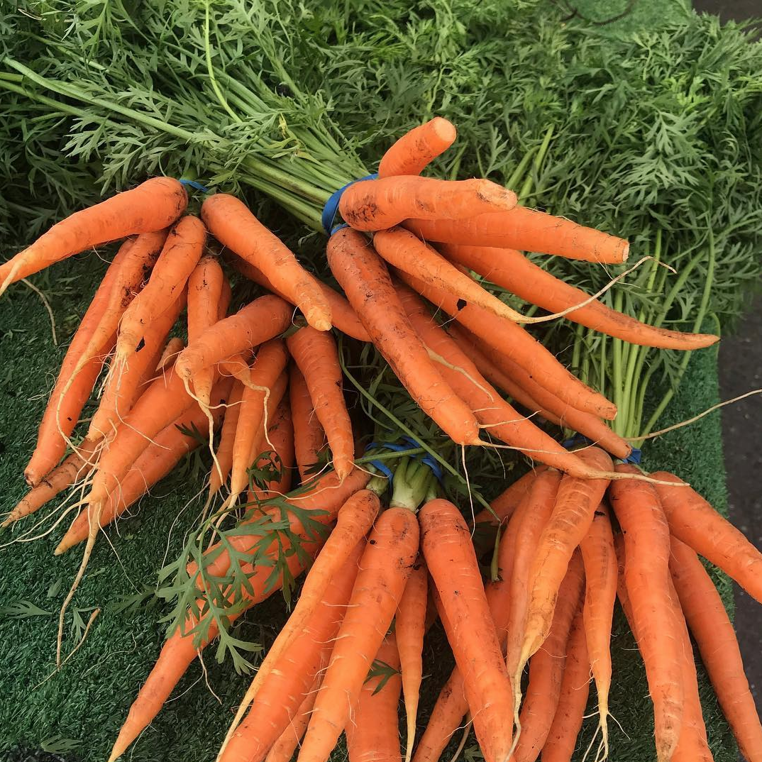 5 Mtr Seed Tape Allotment Collection contains cabbage carrot and brussel spro