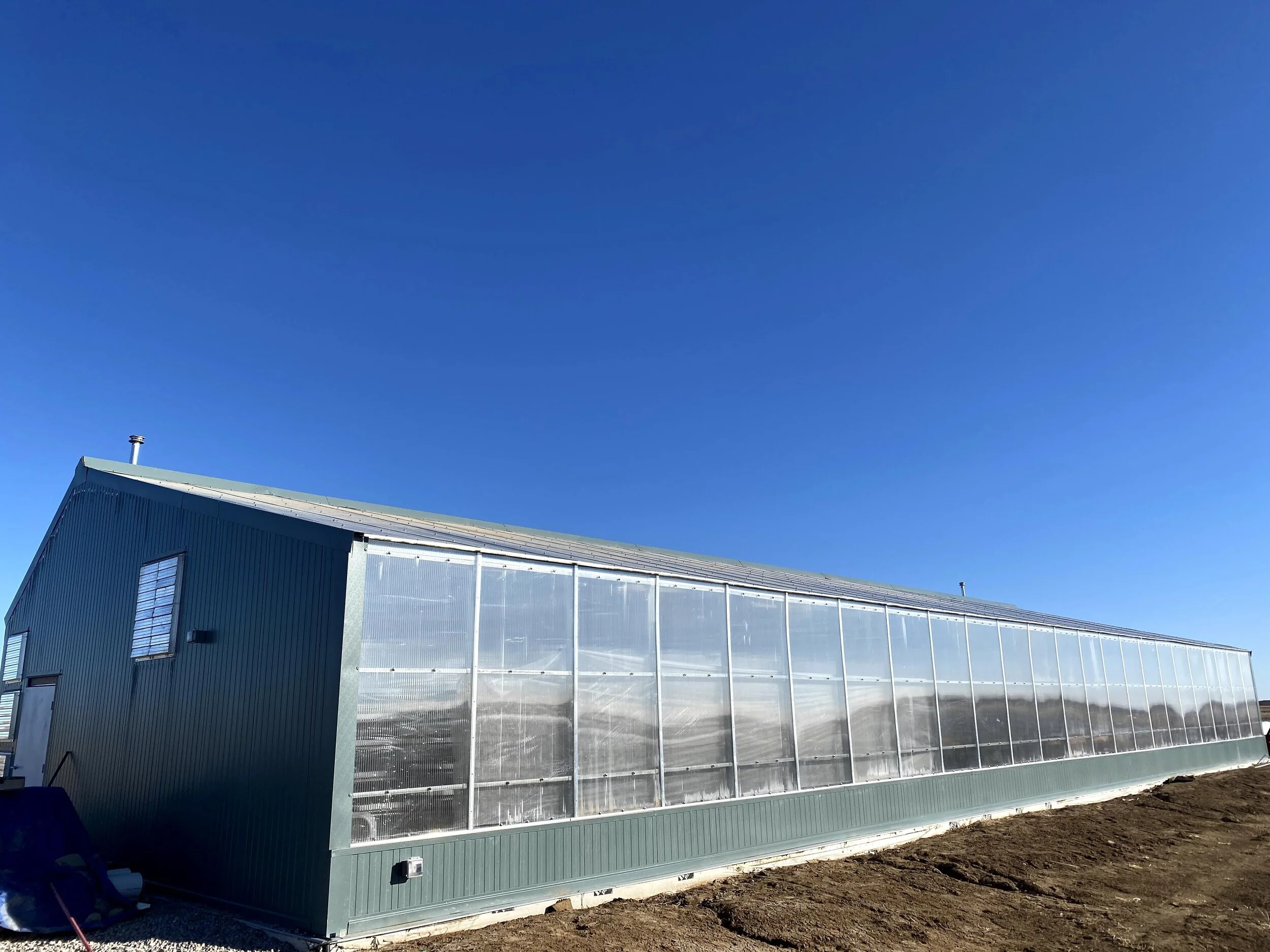 Calculate Daily Light Integral Using Agritecture's New Tool — AGRITECTURE