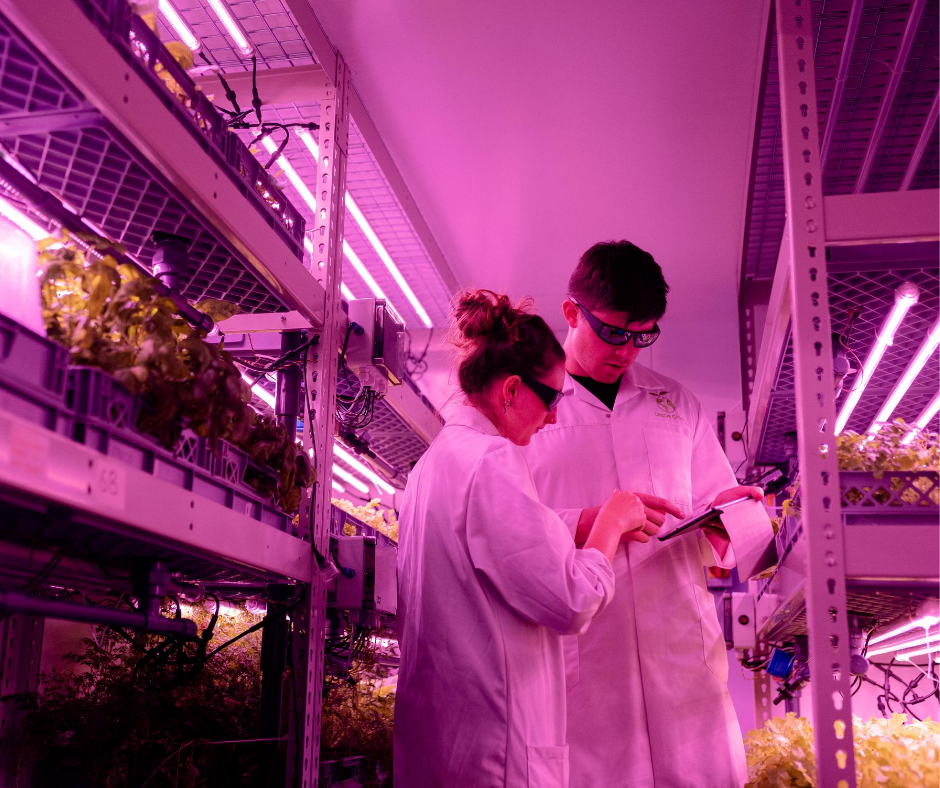 Untitled design (1).png