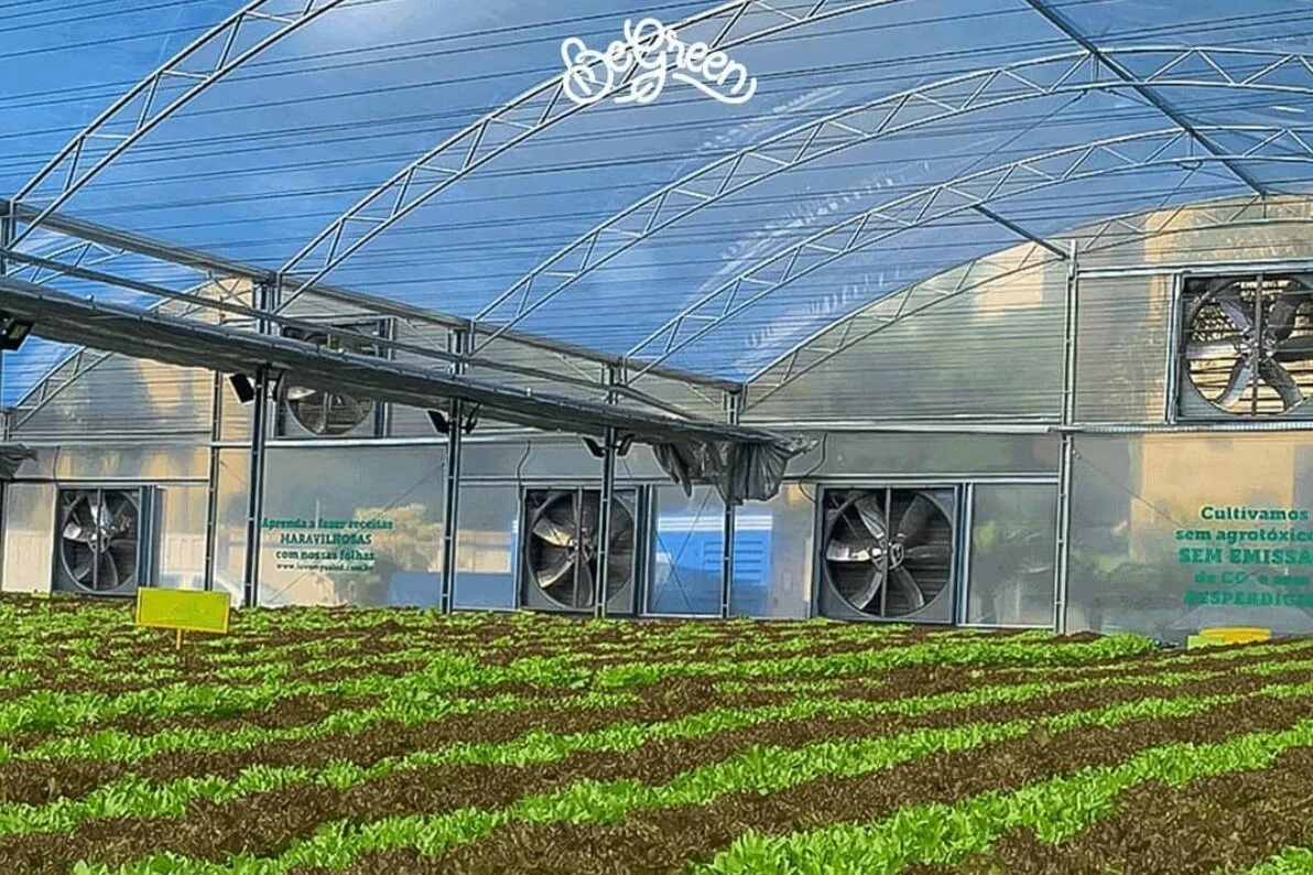 Image sourced from: BeGreen