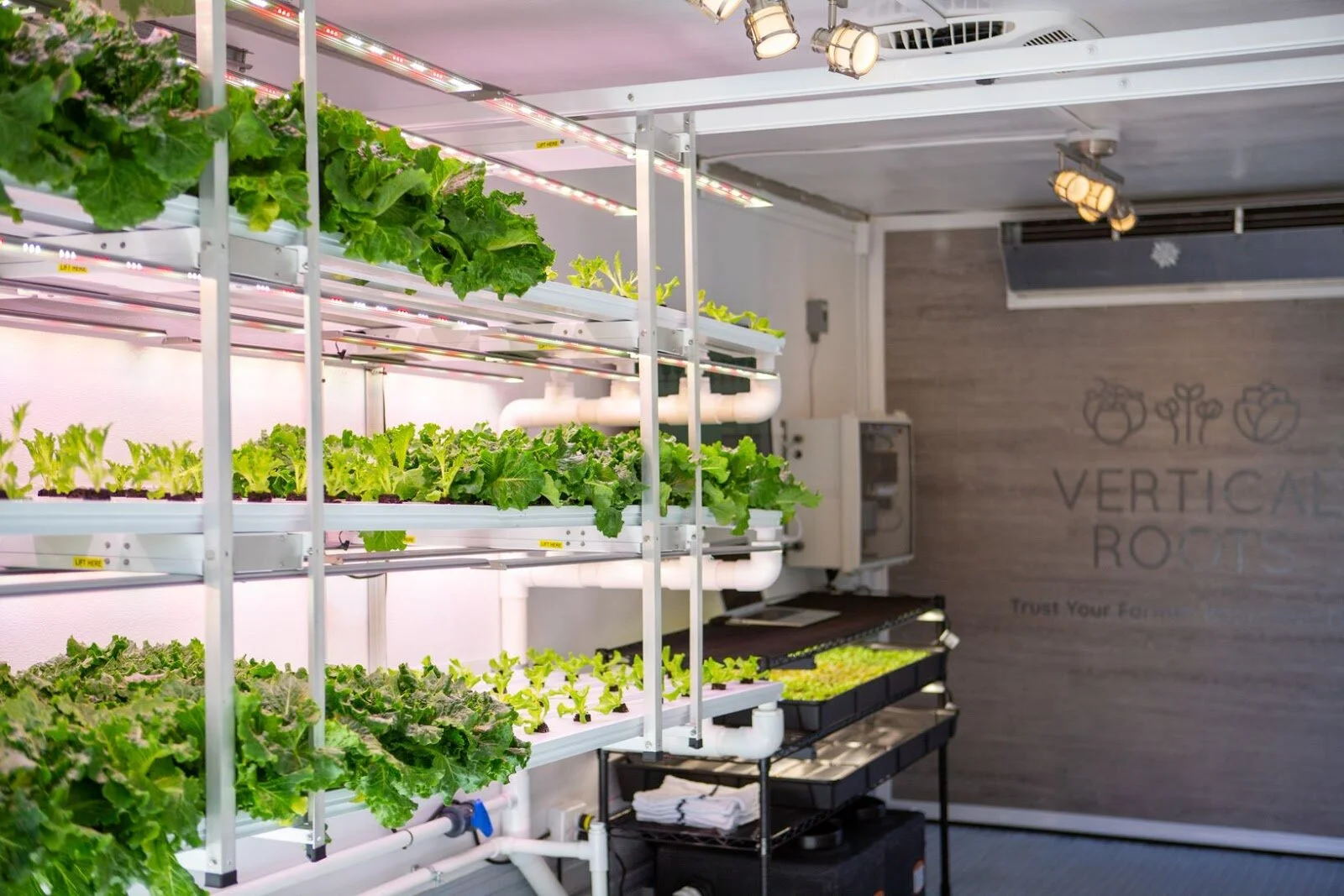 Image sourced from: Publix