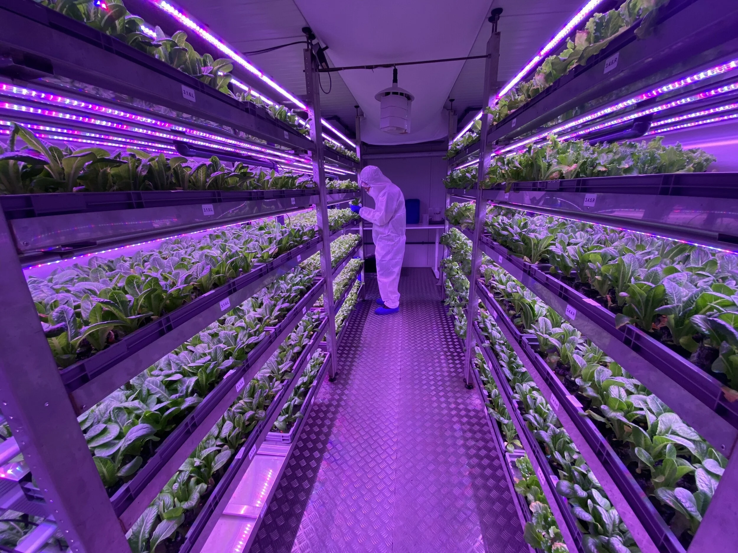Image sourced from Urban Crop Solutions