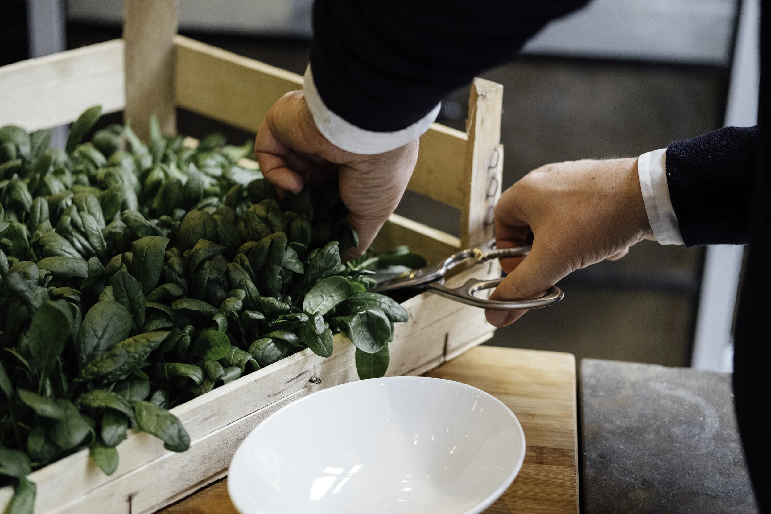 Image sourced from &ever