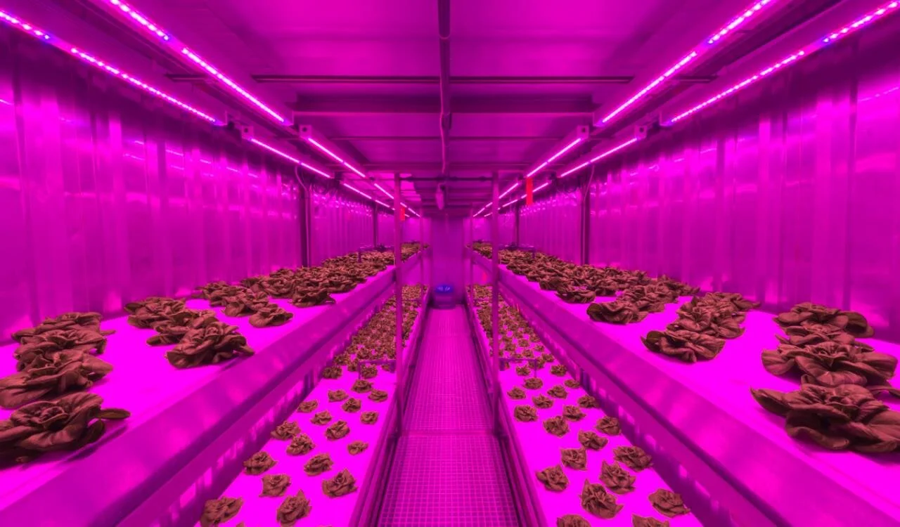 Image sourced from Priva