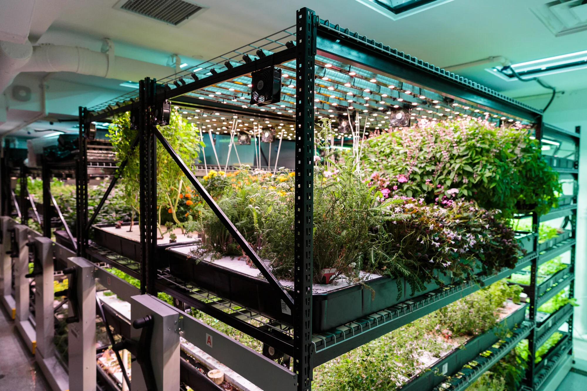 Farm.One’s flagship New York location in Tribeca; image sourced from Farm.One