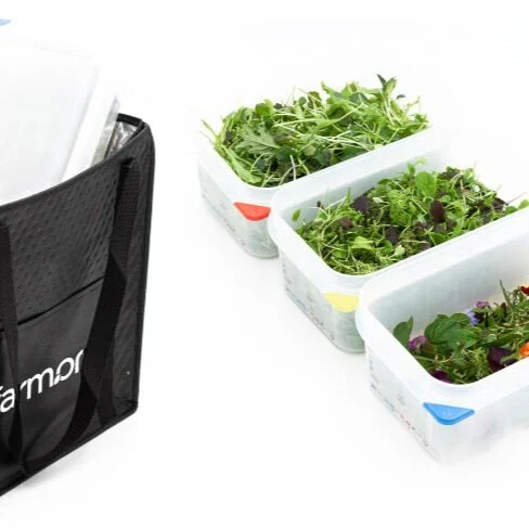 5fb2b51a02adac45cef3959b_Gift Group.jpg