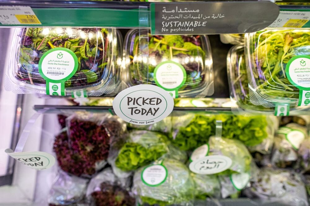 Salad greens require less energy and water to grow indoors than higher calorific foods; Photographer: Christopher Pike/Bloomberg