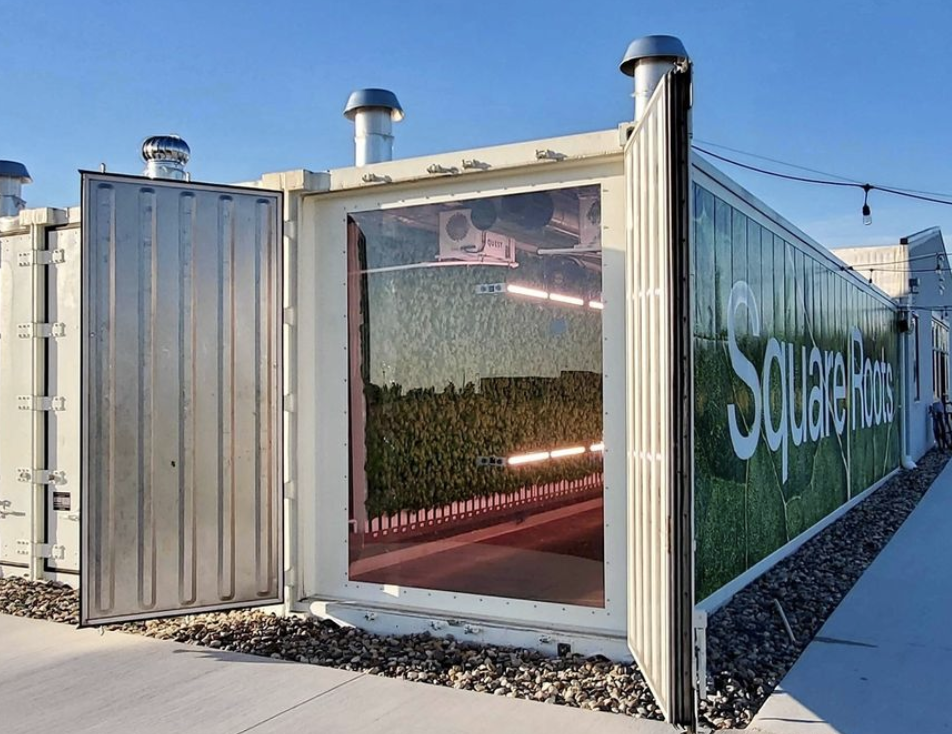 Image sourced from Agritecture’s former client, Square Roots