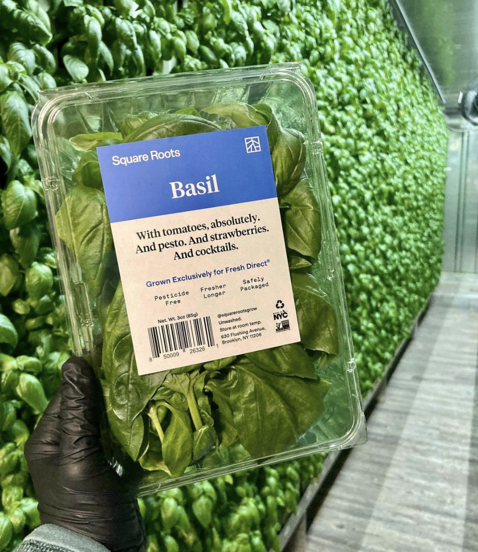 Image sourced from Agritecture’s former client, Square Roots