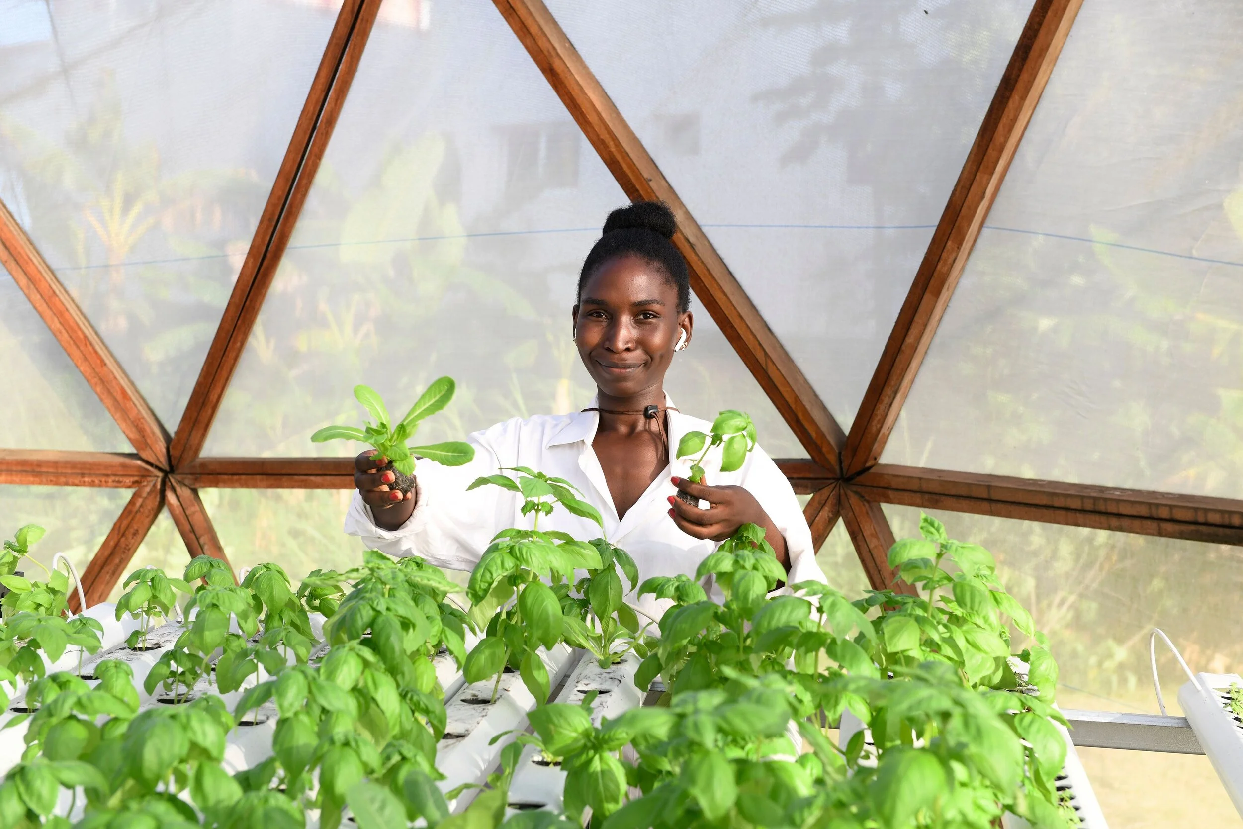 Image sourced from La Ferme Urbaine Okoume