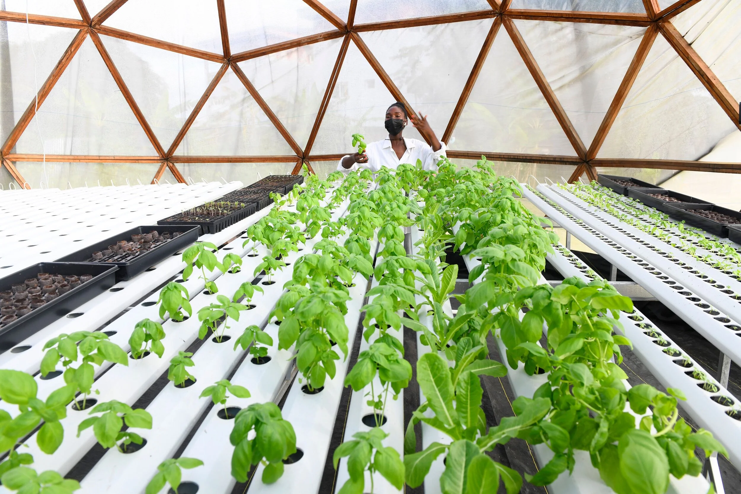 Image sourced from La Ferme Urbaine Okoume