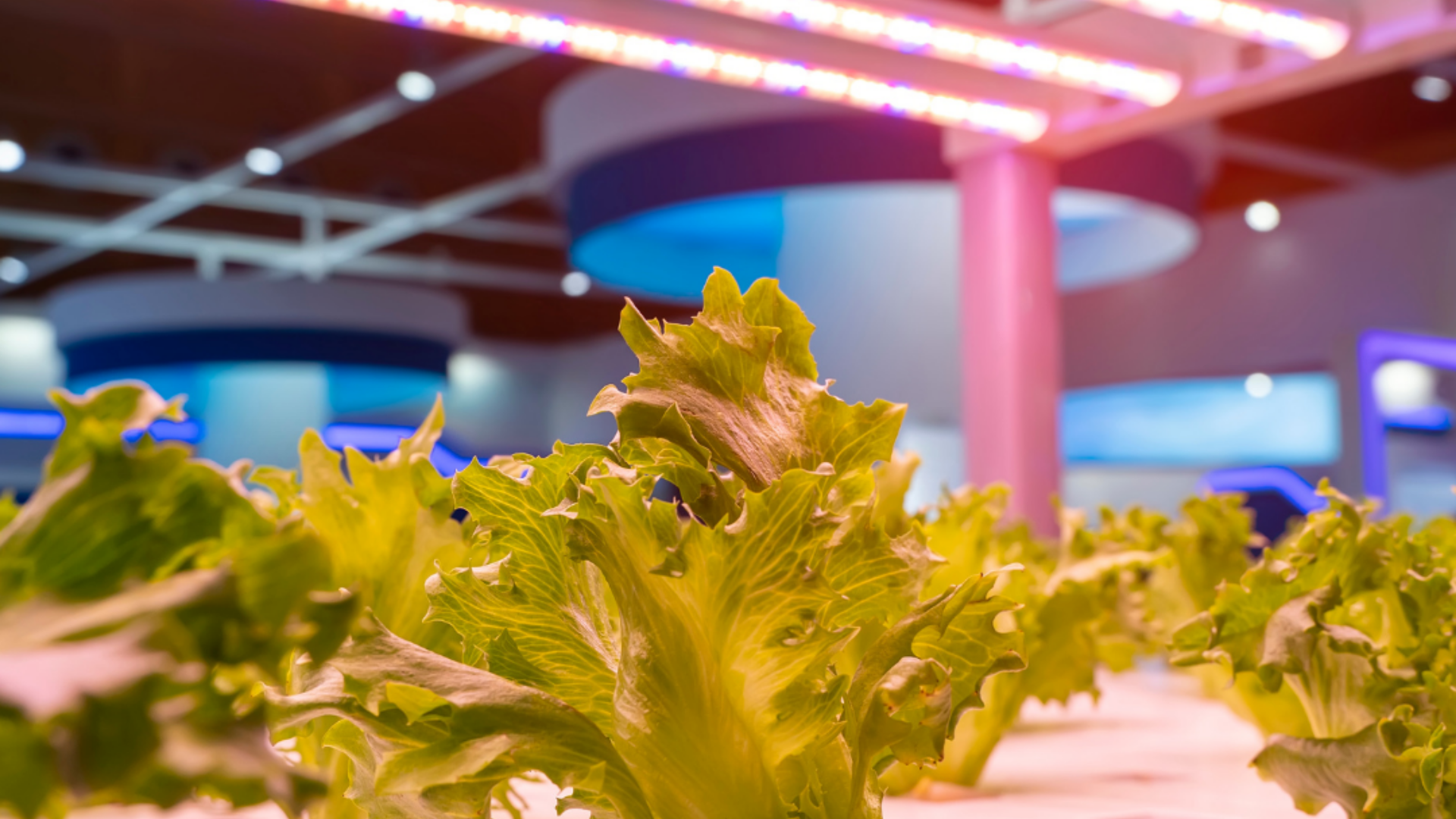 Blog - Sponsored Image (2).png