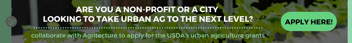 Newsletter Banners (2).png