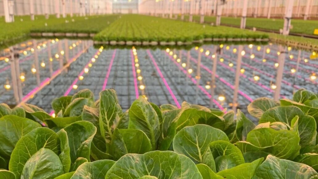 Image sourced from Equilibrium Capital