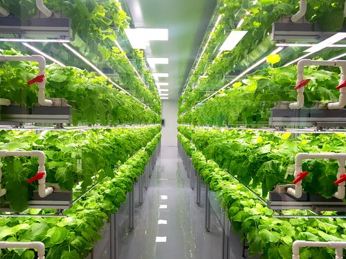 vertical farm.jpeg