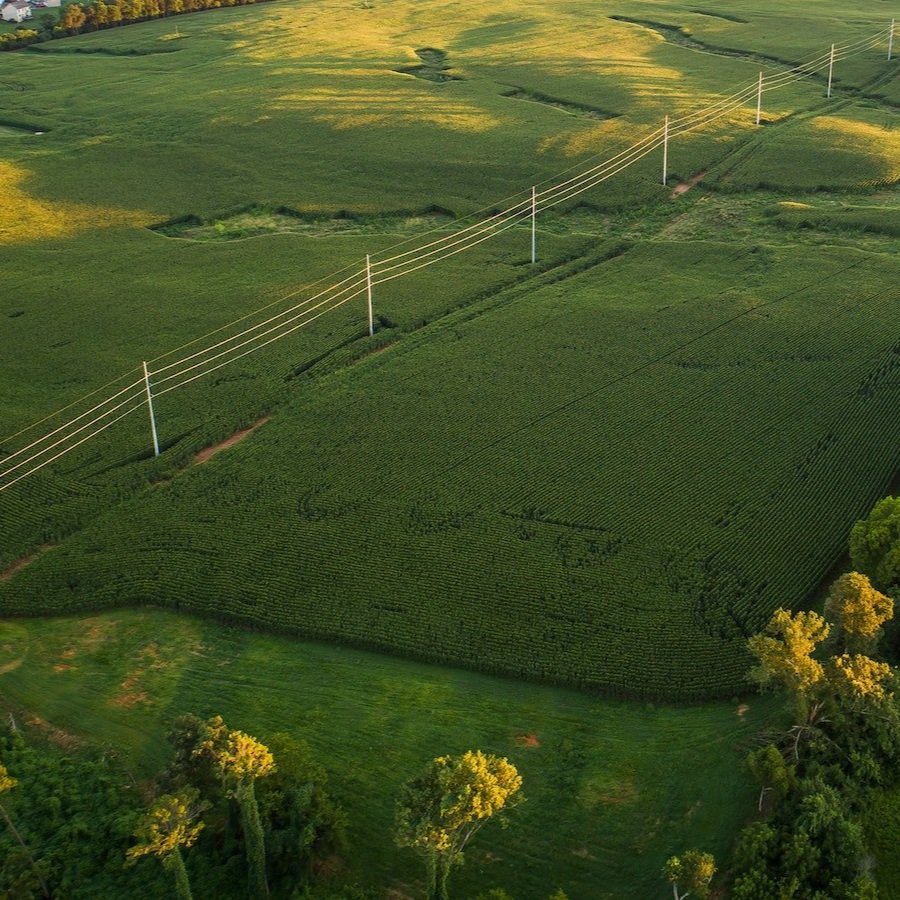 Sustainable Food Systems and Stable Climates Are Intertwined
