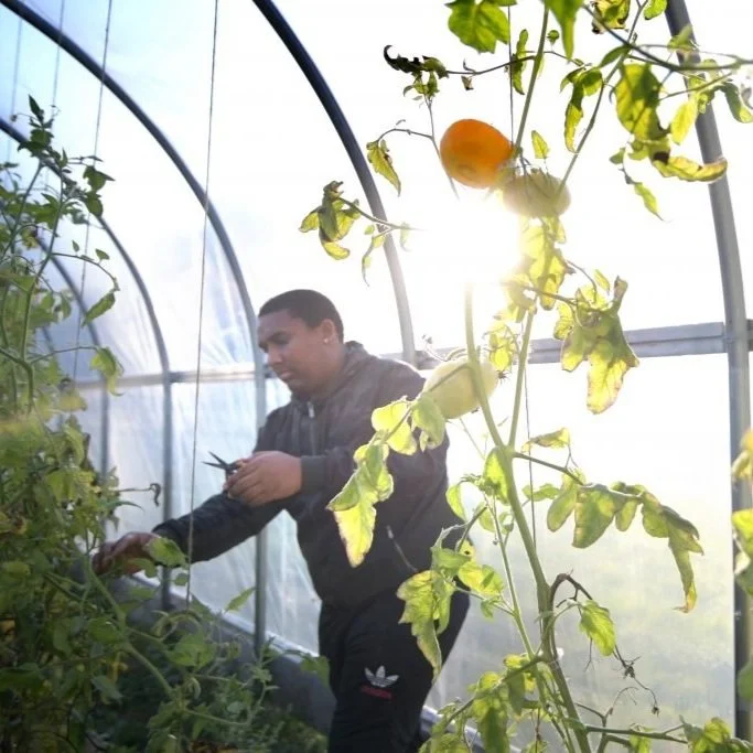 Mashantucket Pequot Tribal Nation Establishes Tribal Department of Agriculture