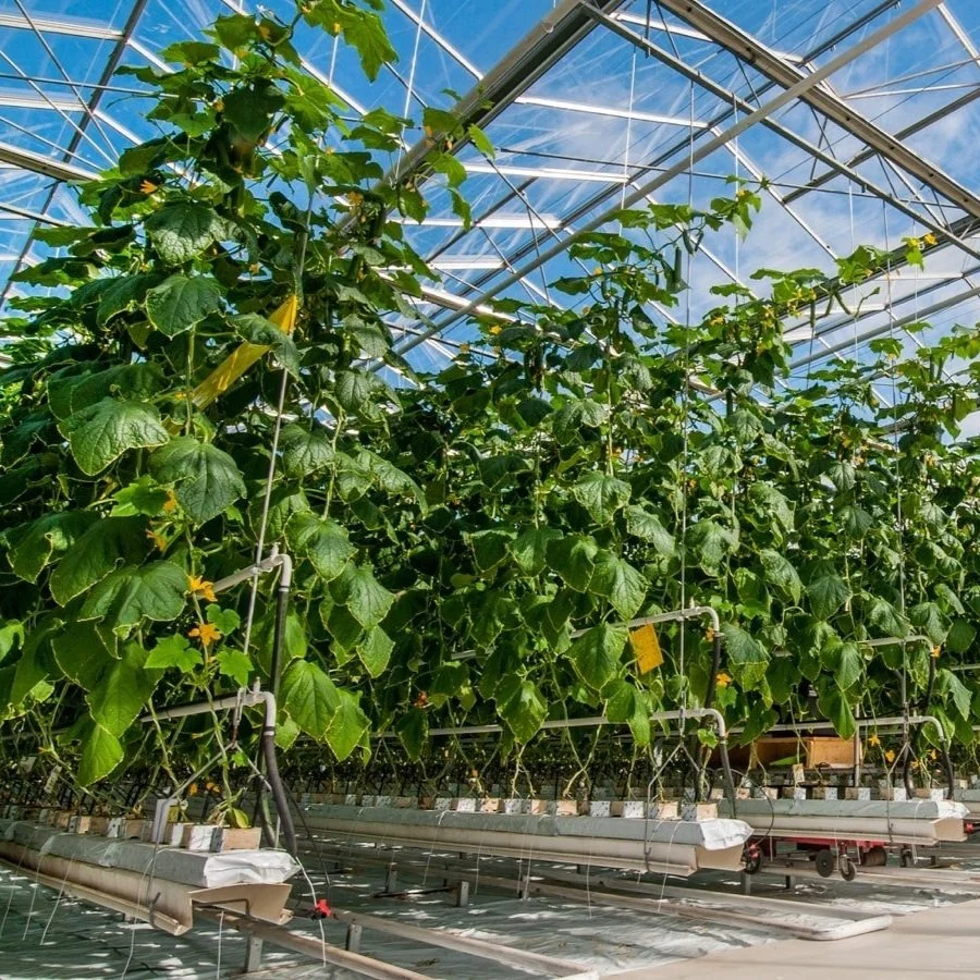 The 9 Biggest Controlled Environment Agriculture Wins &amp; Losses Of 2021