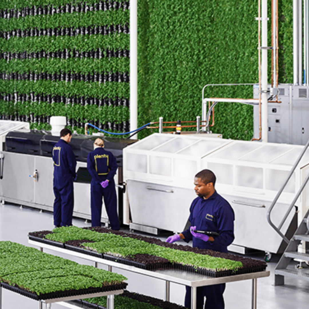 Bowery All Blog Posts AGRITECTURE bowery-all-blog-posts-agritecture