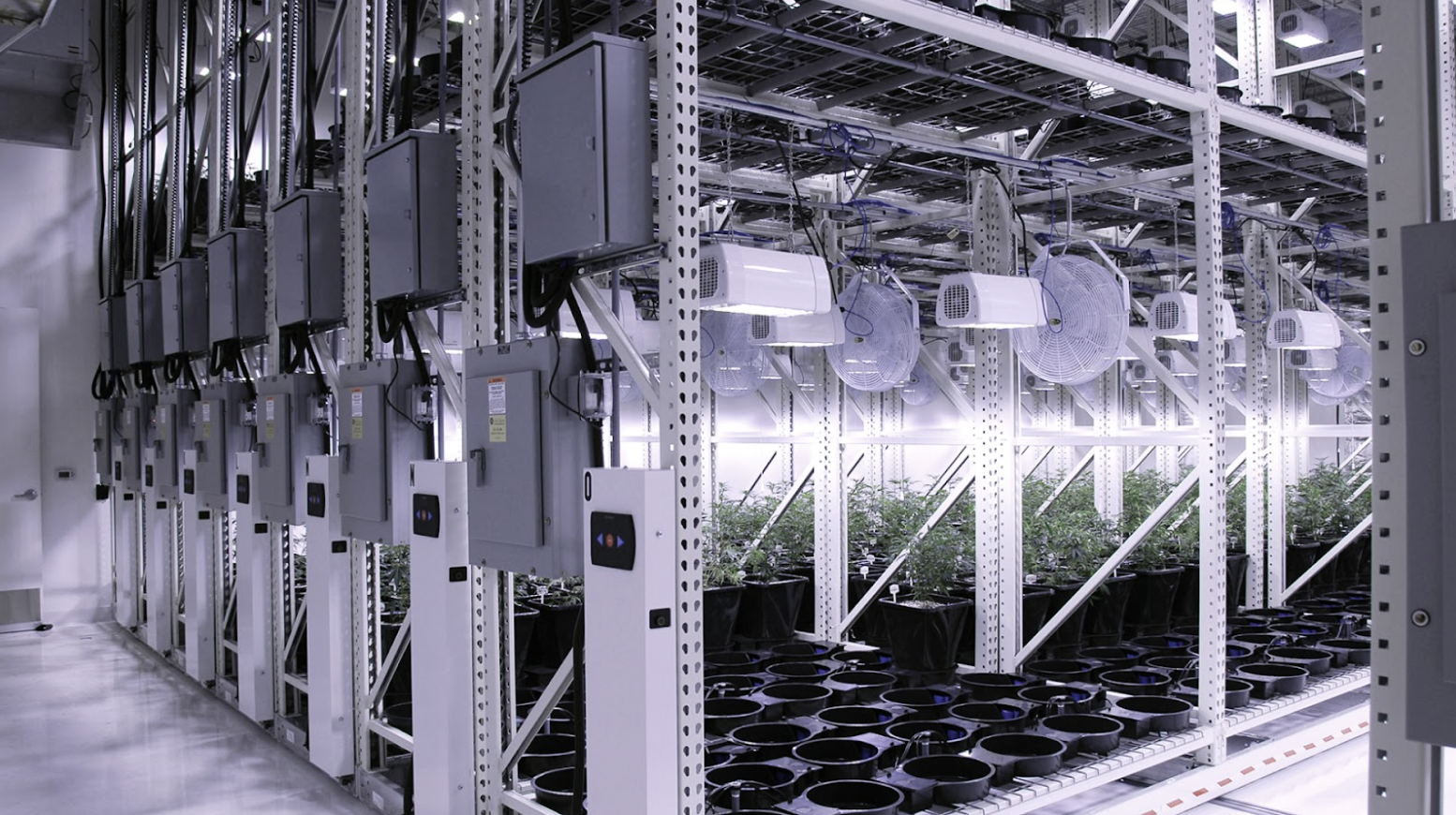 Montel Revolutionizes VF Sector with Mobile Vertical Racks