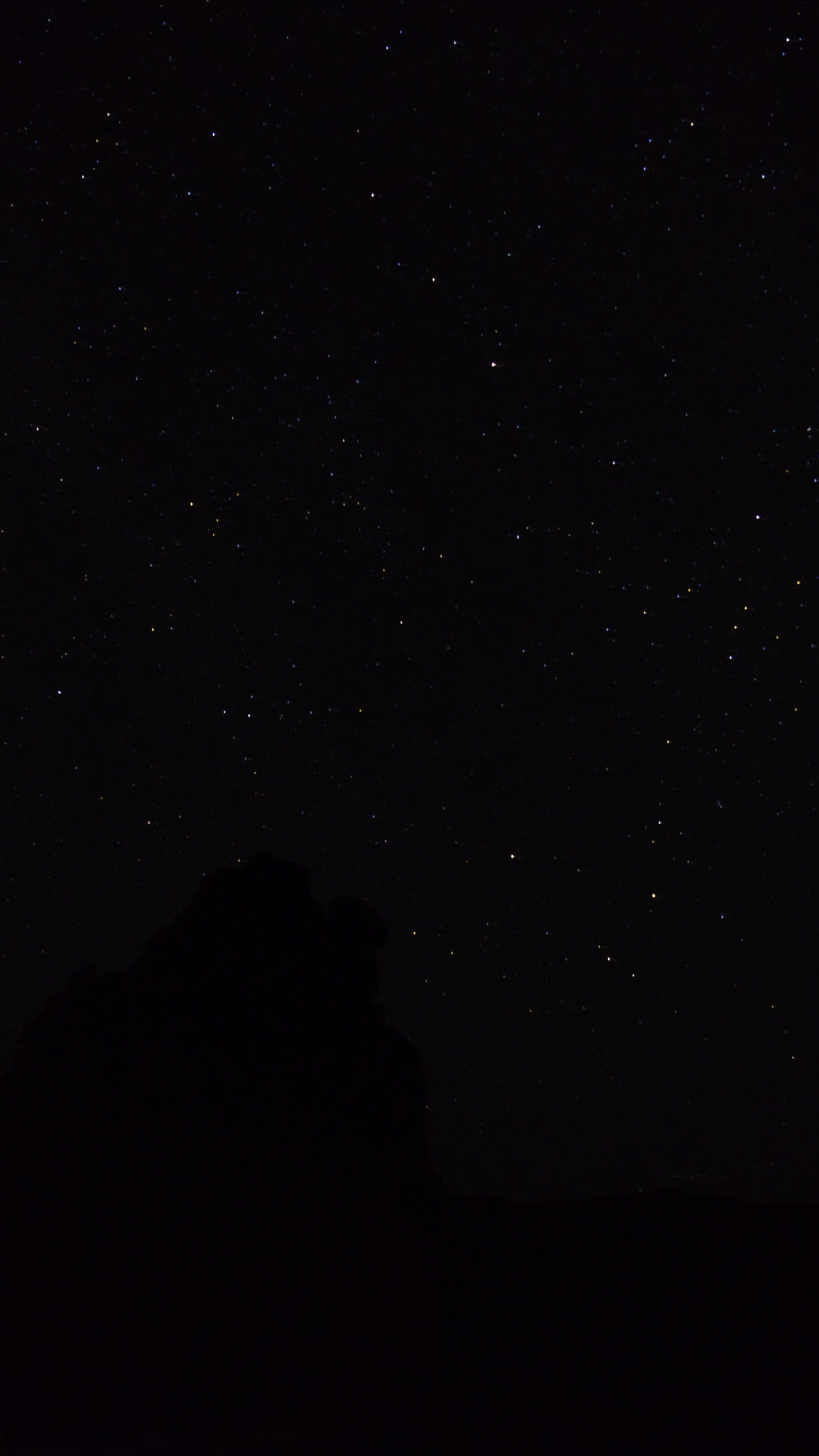 A Letter from Damaly