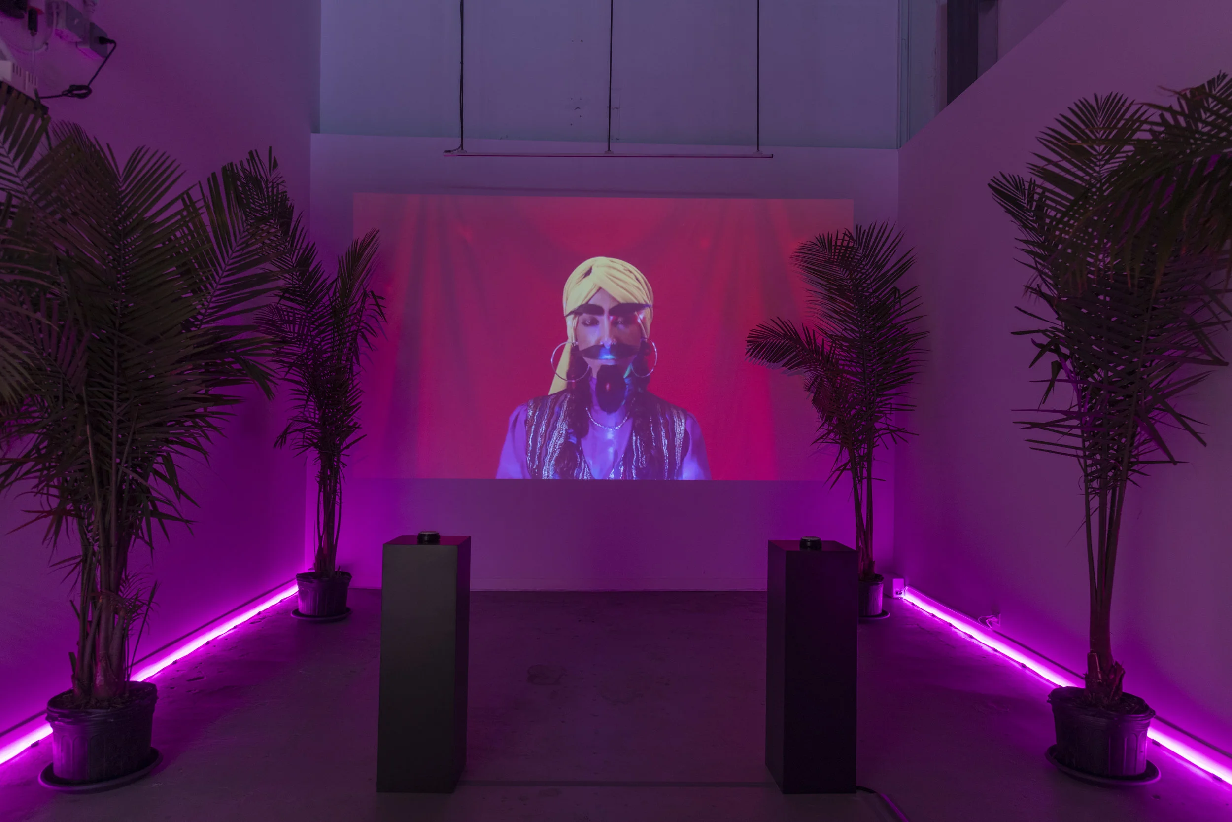 Lara Nasser, Fortune Teller , 2018, interactive video installation (raspberry pi, software, palms, neon lights, pedestals, buttons with text), dimensions variable, photo: Adam Reich