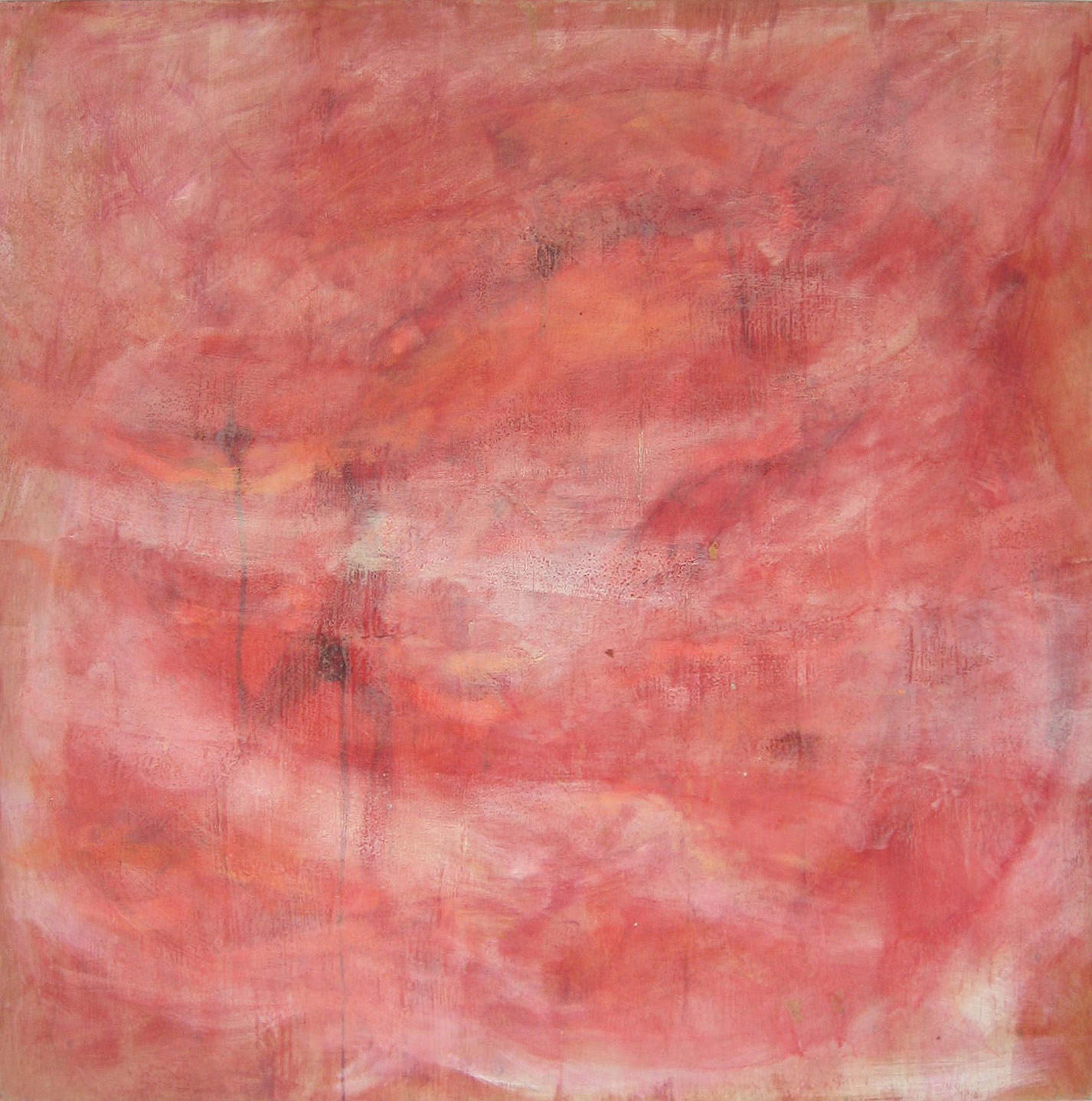 Passion, 48 X 48, oil and encaustic on panel, 2005, Kristin Barton.jpg