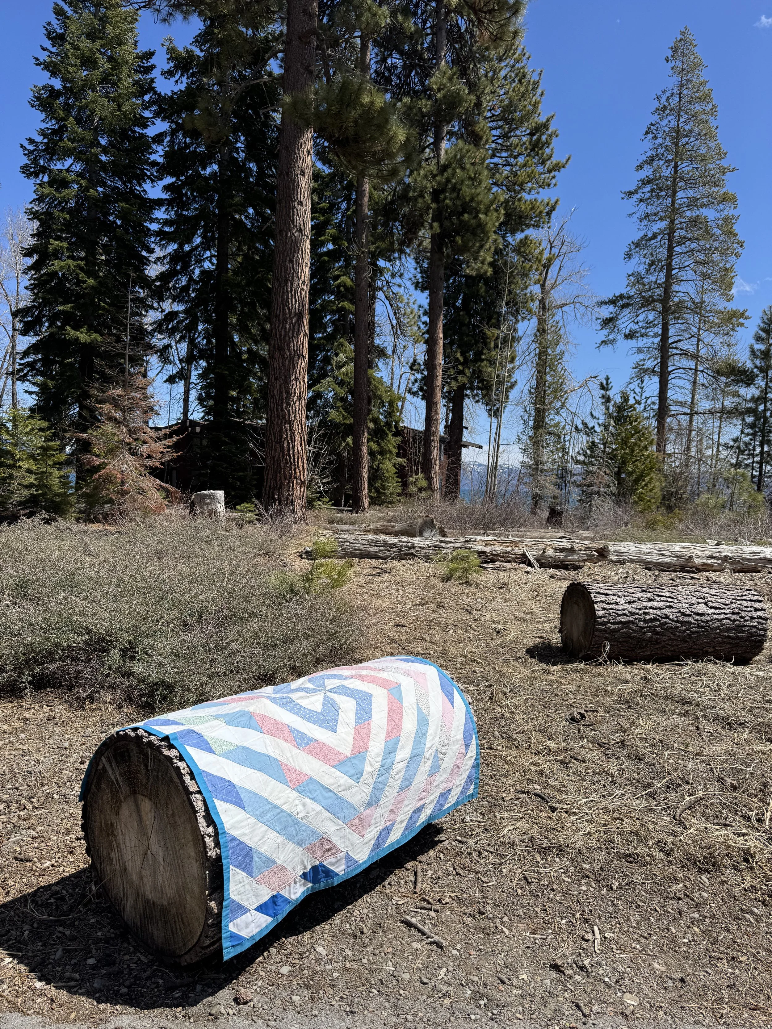 Whirling Log