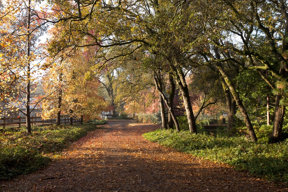 Fall colors are bountiful during Autumn