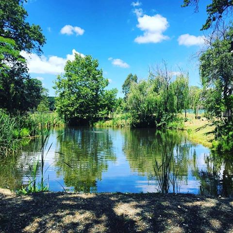 Sit under the willow & enjoy the refreshing sounds of the pond