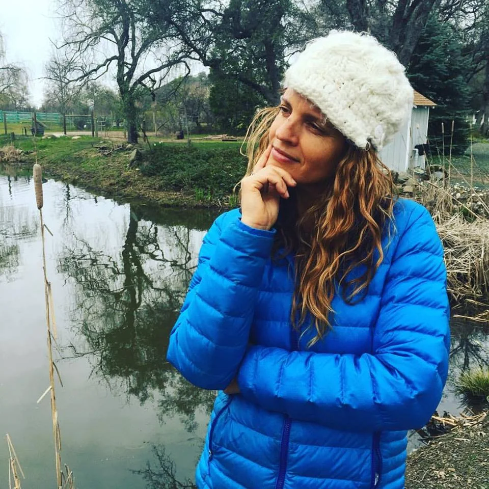 Cognitive Dissonance