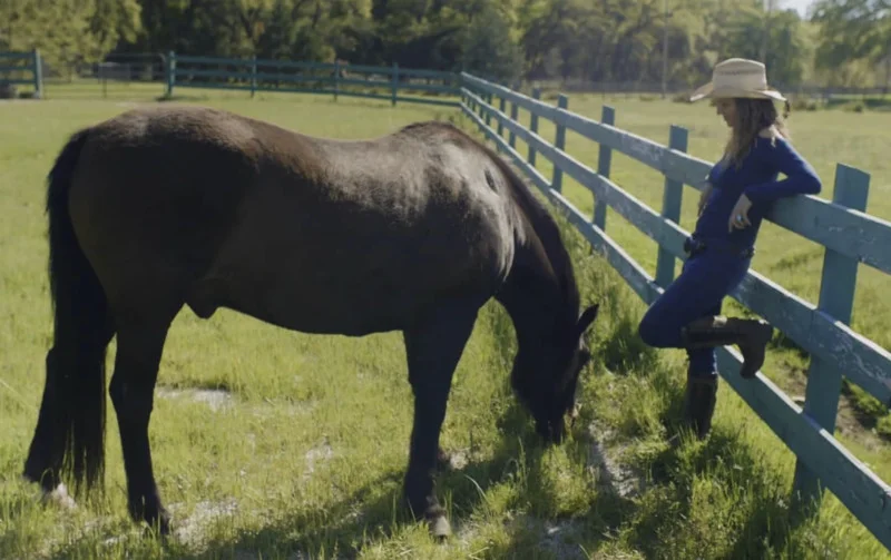 Tara's Wind Horse two minute film!