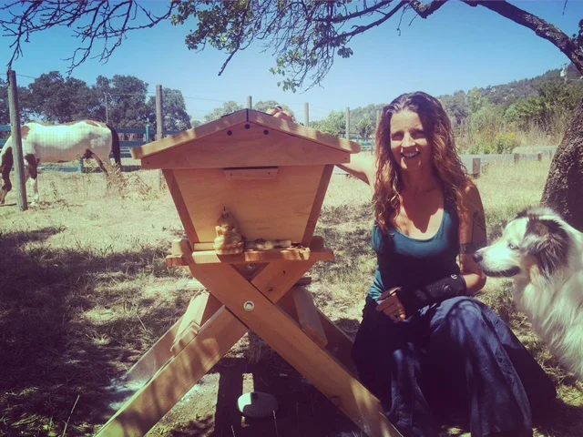 Life, Death and the Power of the Bees - July Health Update