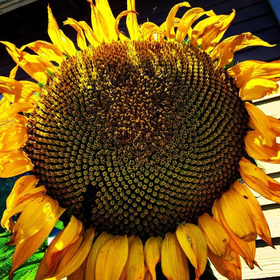 10 Ways to Prevent Breast Cancer