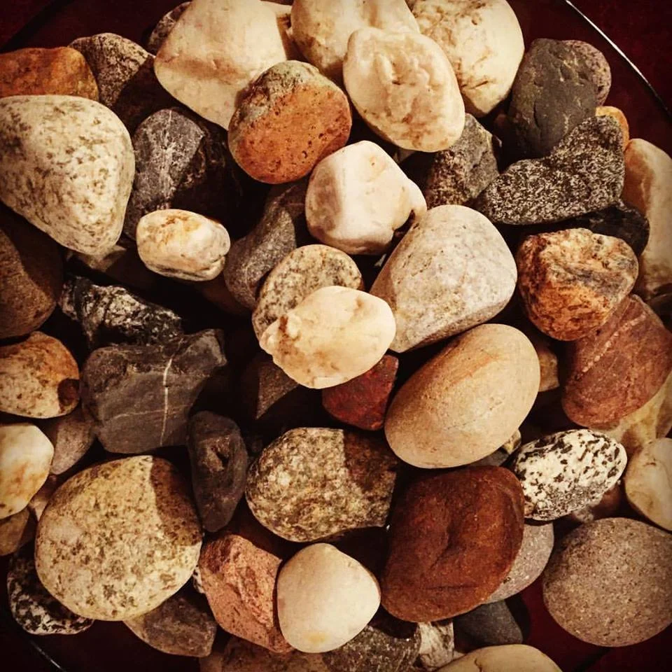 No Stone Left UnTurned